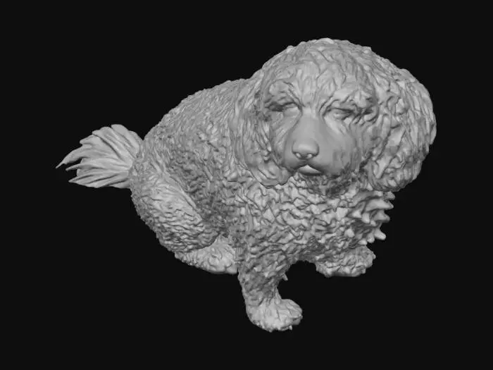 3D model for Sunset Beach Dog