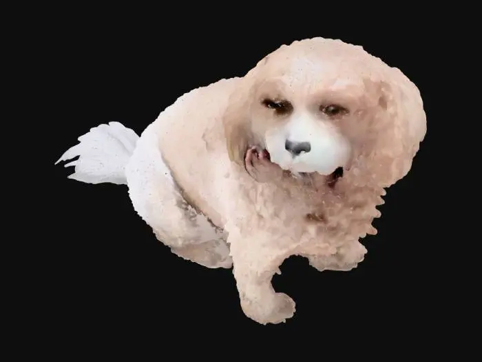 3D model for Sunset Beach Dog