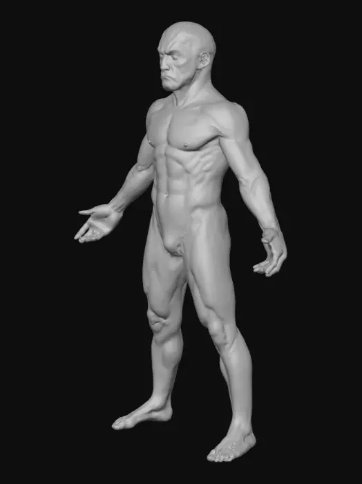 3D model for Honey Badger