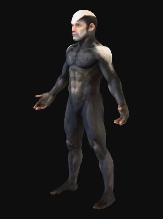 3D model for Honey Badger