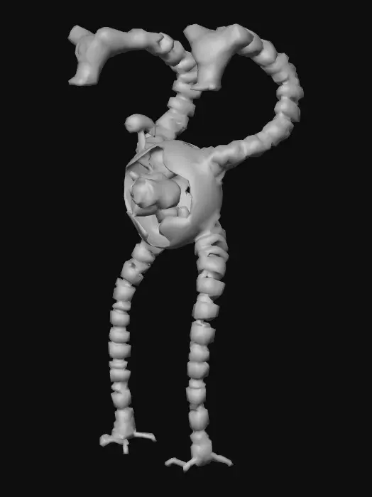 3D model for Robotic Limbs Controller