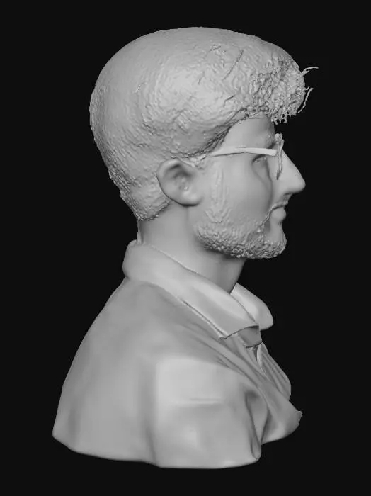 3D model for Portrait in Black Shirt