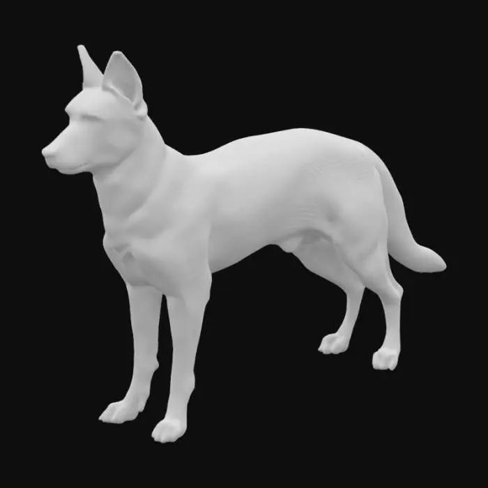 3D model for Berger malinois