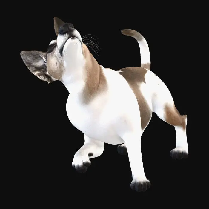 3D model for My dog friend aka Jack Rusell terier