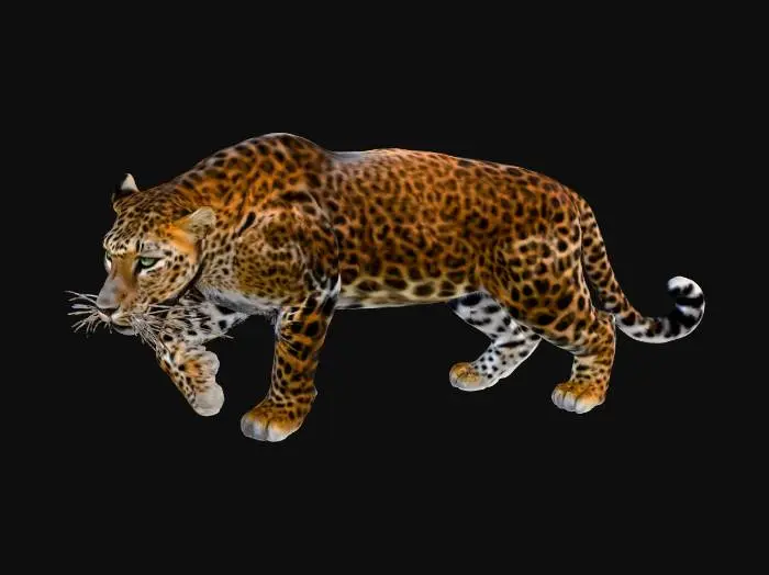 3D model for Hunter's Gaze