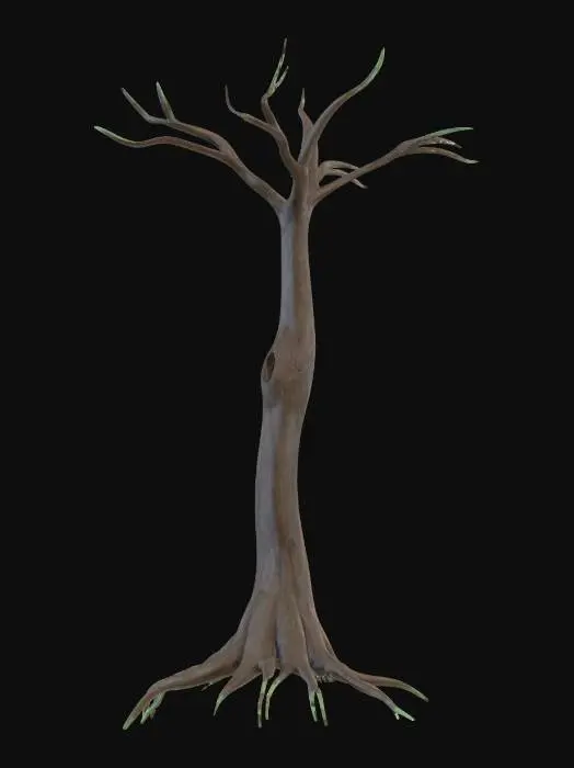 3D model for Solitary Tree