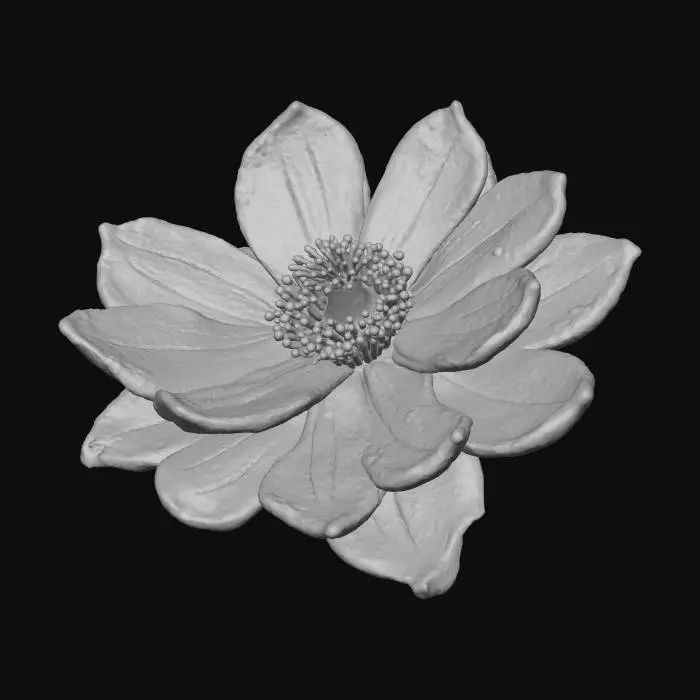 3D model for JOLIE PETITE FLEUR MAGIQUE DU CREPUSCULE