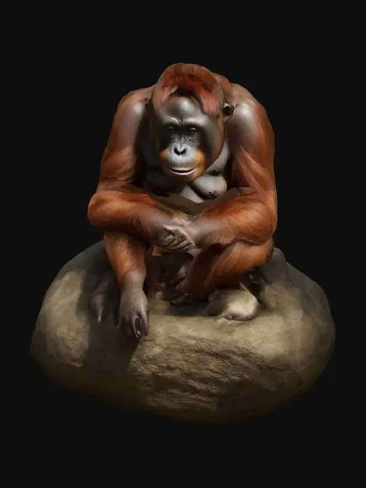 3D model for orangutan sitting, photorealistic


