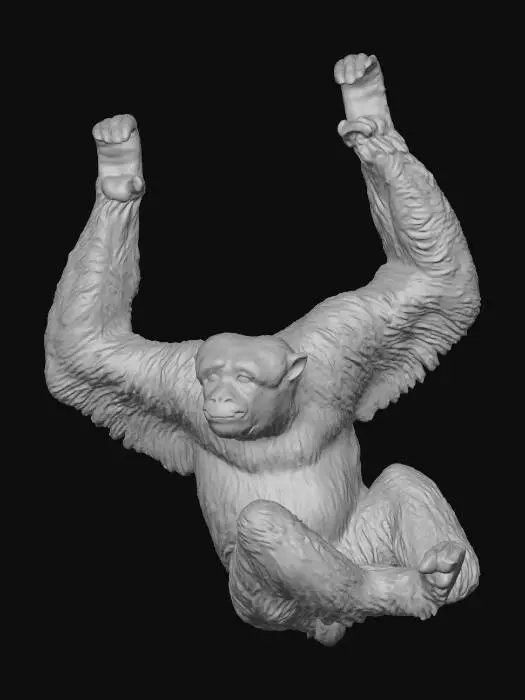 3D model for Gibbon Grace