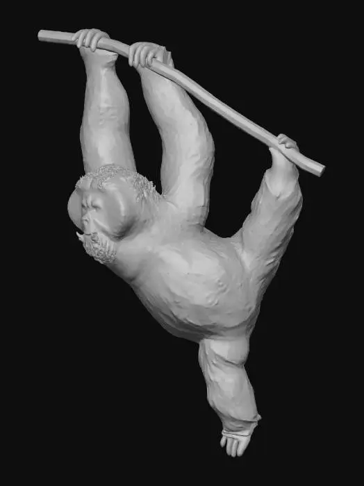 3D model for Orand Utan hanging