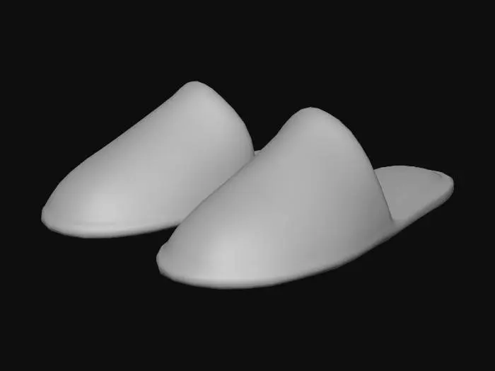 3D model for Slipper Serenity