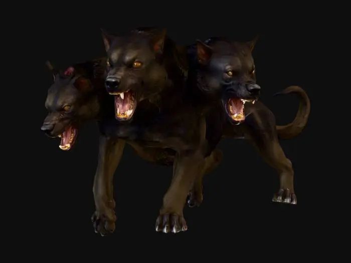 3D model for Cerberus in the Wild