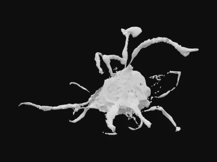 3D model for The Fabrication Machine from number 9