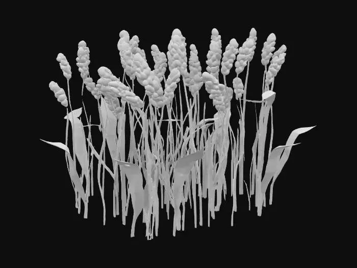 3D model for Stylized low-poly wheat crop, golden yellow, made of multiple thin stalks bundled together with upward-pointing grain heads. Designed for a cozy farming game, similar to Stardew Valley. Suitable for placement in grid-based farm plots. Export as .glb or .fbx