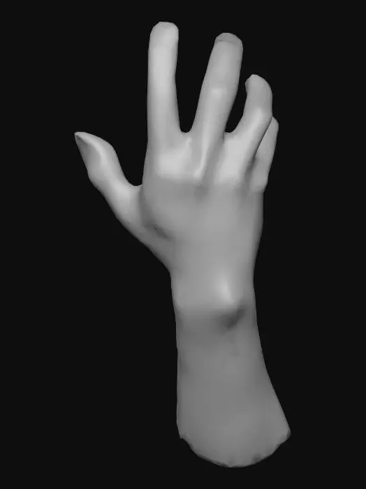 3D model for Stretched Fingers