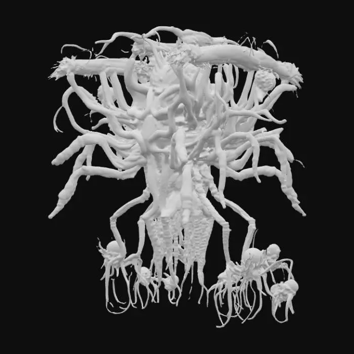 3D model for 미트볼에 거미 같은 다리 2쌍이 달린 작은 생명체가 코어 개체를 중심으로 모여 거대한 생물처럼 행동함, 합처진 모습은 인간형 이지만 작은 개체의 모습이 들어남 그래서 고기덩이가 움직이는 느낌이듬