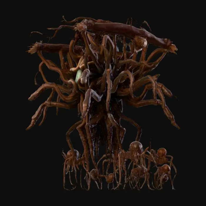 3D model for 미트볼에 거미 같은 다리 2쌍이 달린 작은 생명체가 코어 개체를 중심으로 모여 거대한 생물처럼 행동함, 합처진 모습은 인간형 이지만 작은 개체의 모습이 들어남 그래서 고기덩이가 움직이는 느낌이듬