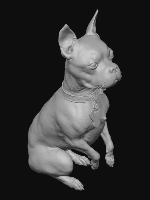3D model for Paws Up Pup