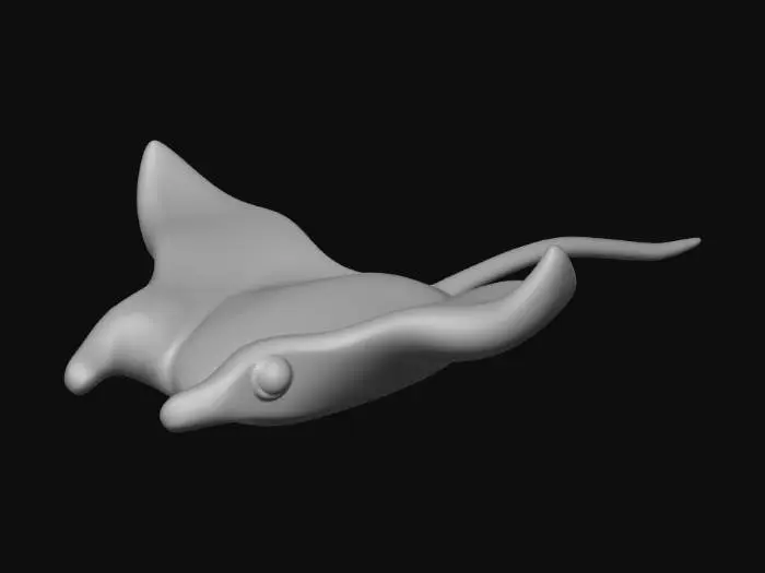 3D model for Friendly Ray
