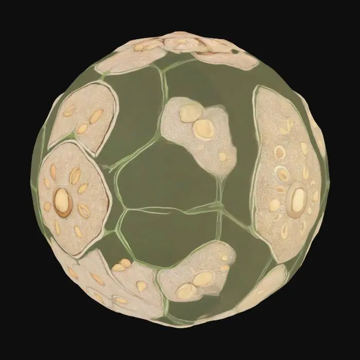 3D model for big seed, grove seed, big nut, nature, mythical, round