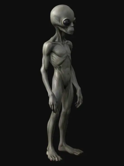 3D model for MARCIANO