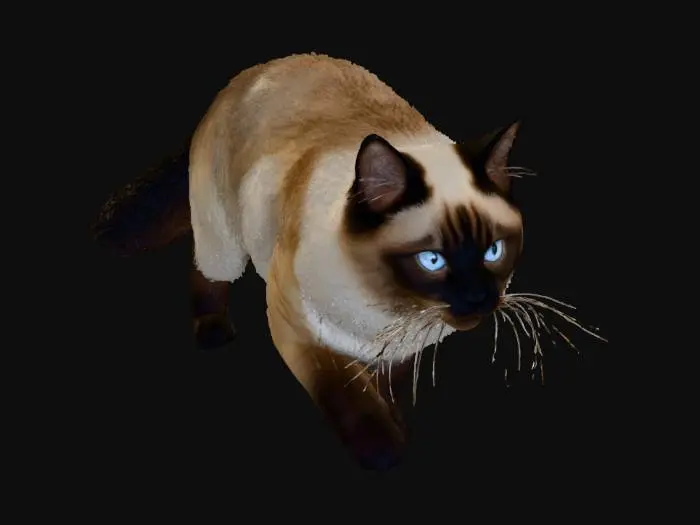 3D model for Determined Stroll