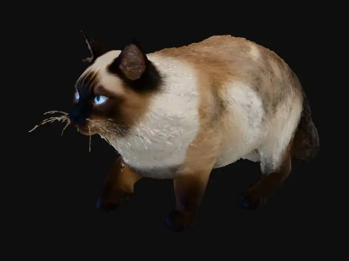 3D model for Determined Stroll