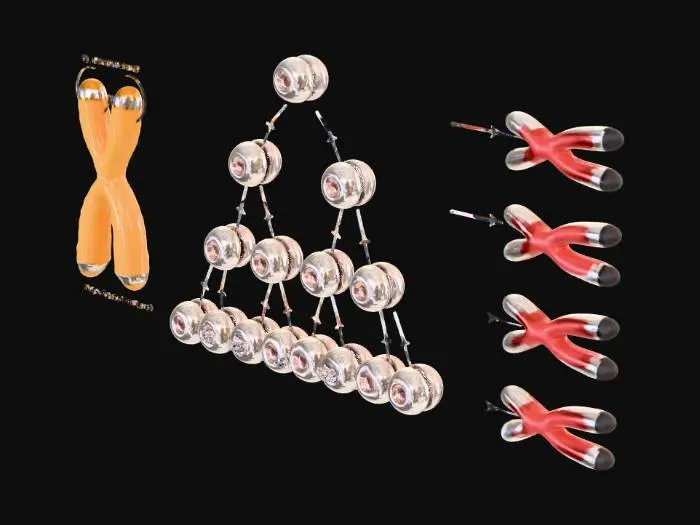 3D model for Telomere Dynamics in Cell Division