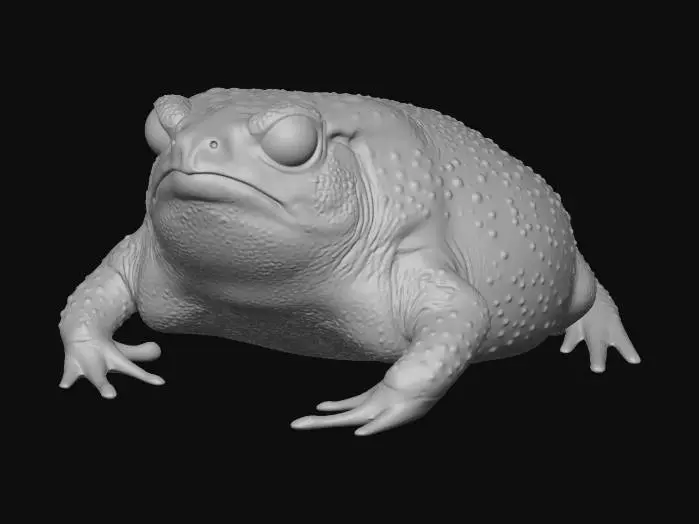 3D model for Leopard-spotted toad