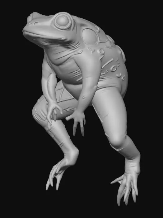 3D model for Contorted Frog