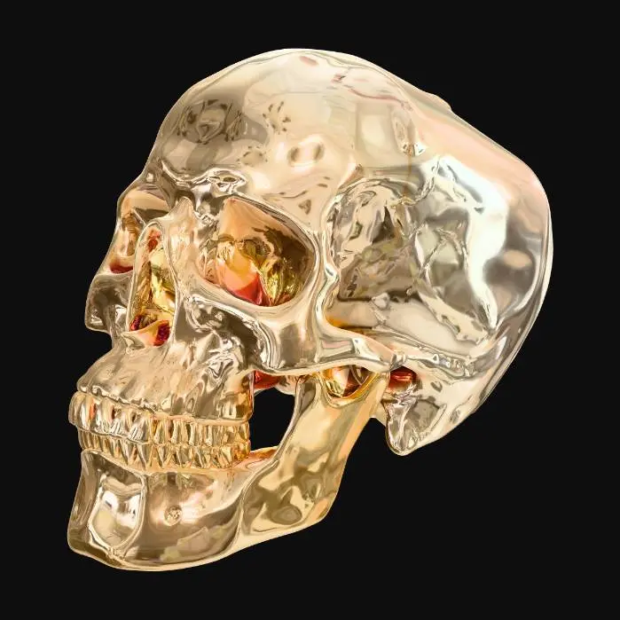 3D model for Human Skull