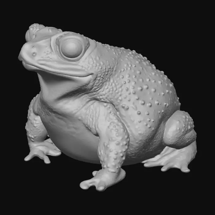 3D model for smiley-toad