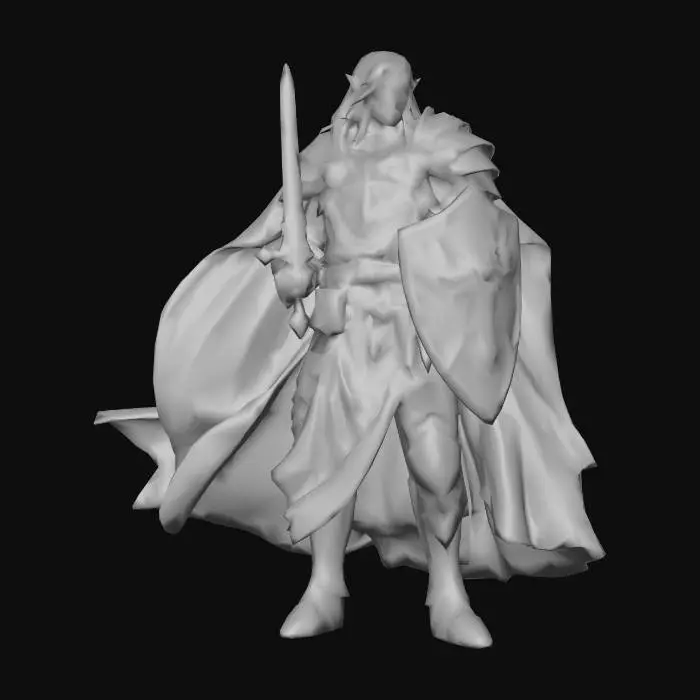 3D model for D&D Paladin