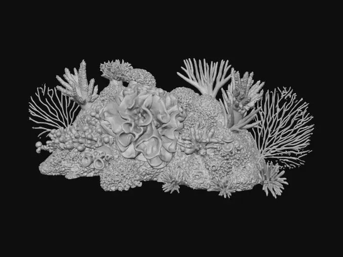 3D model for Coral Symphony
