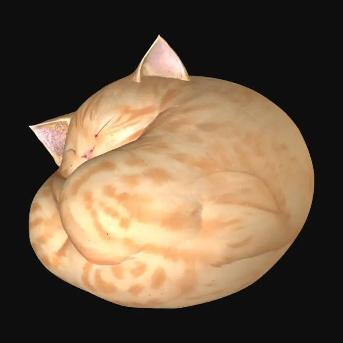 3D model for a cute realistic small orange cat curled up and sleeping peacefully 