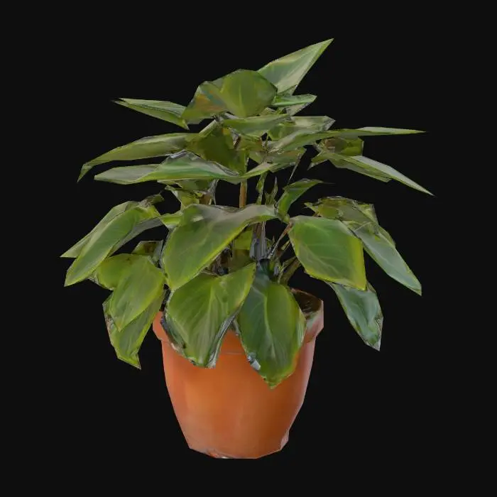 3D model for A simple potted floor plant