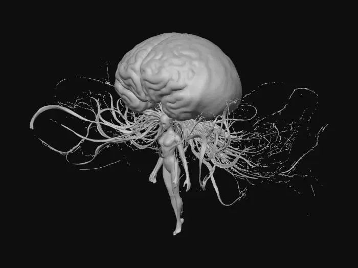 3D model for The ruler of the brain marrow