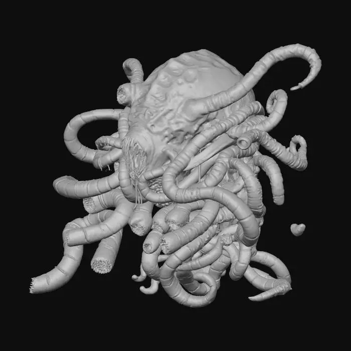 3D model for The labyrinth of the intestinal wall