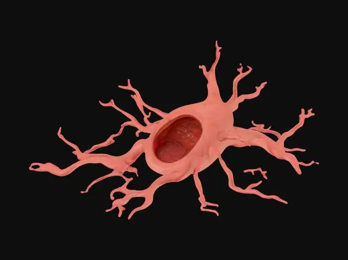 3D model for A large artery bulges up from an opening. Smaller veins come up from the opening, spreading out along the flat ground. Realistic, low polycount, not gruesome, and wet looking.