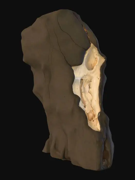 3D model for  A stone jutting out of an open wound like the trunk of a tree that was shattered by lightning. It looks like bone that sheds the outer layer like bark on a tree, but irovy.
