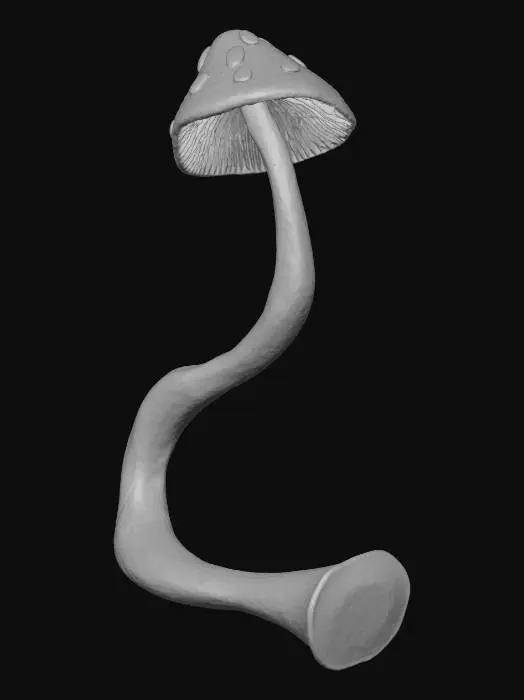 3D model for Mushroom Tail