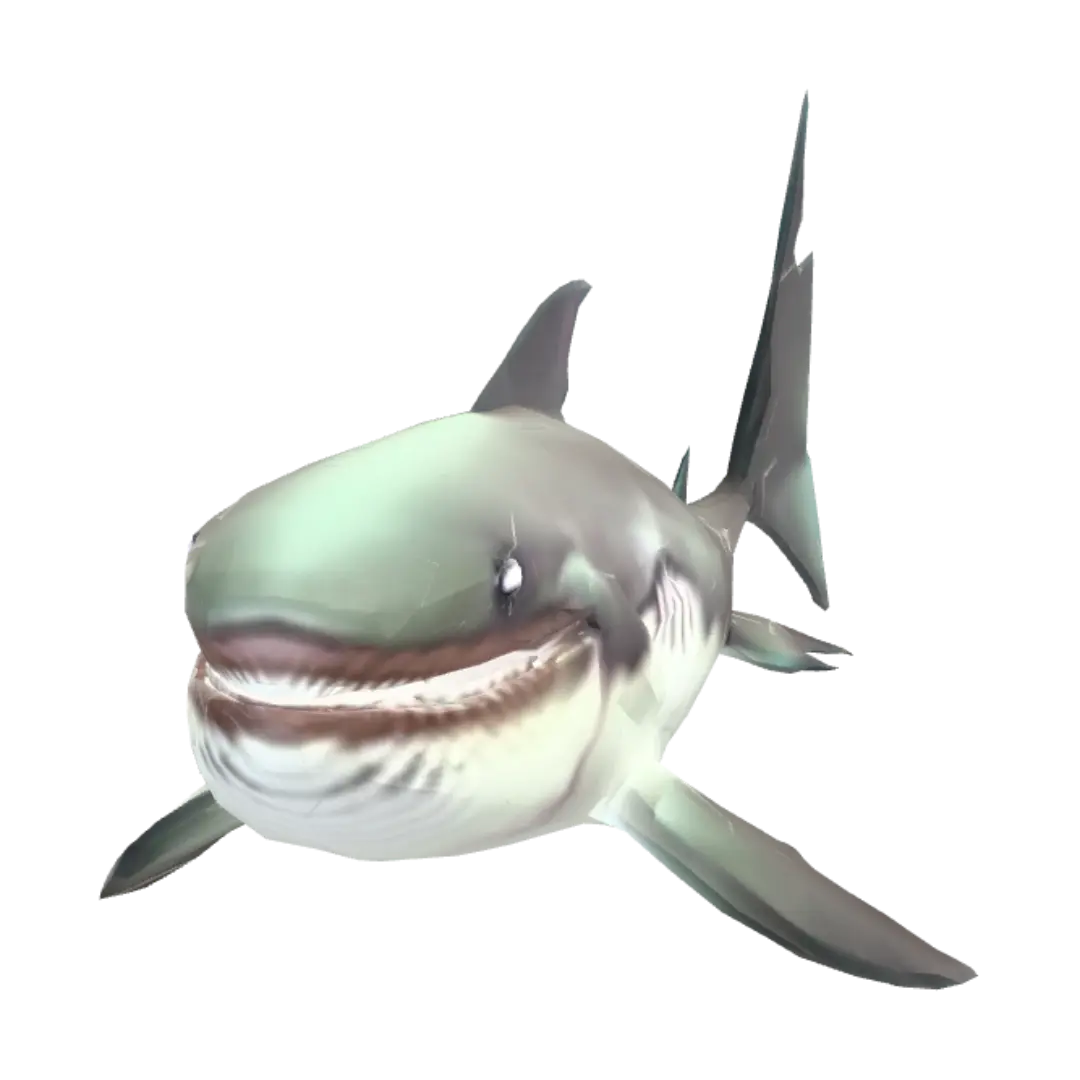 shark