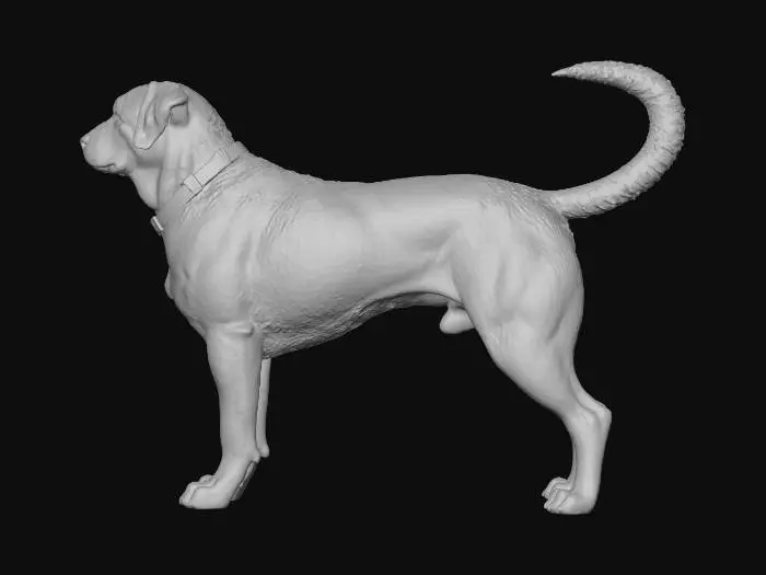 3D model for Regal Rottweiler