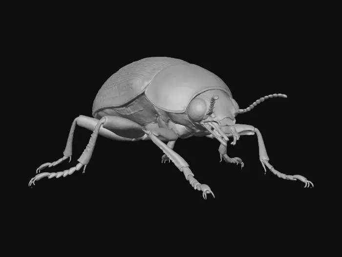 3D model for A skittering beetle-like creature, roughly the size of a small dog, encased in a segmented, chitinous shell. The carapace is a mottled dark brown and black, appearing smooth yet rigid and resilient. Six spindly legs allow for swift, erratic movement, each ending in sharp claws that click on hard surfaces. Two short, stubby antennae twitch nervously, and its small head features multifaceted, glassy black eyes.