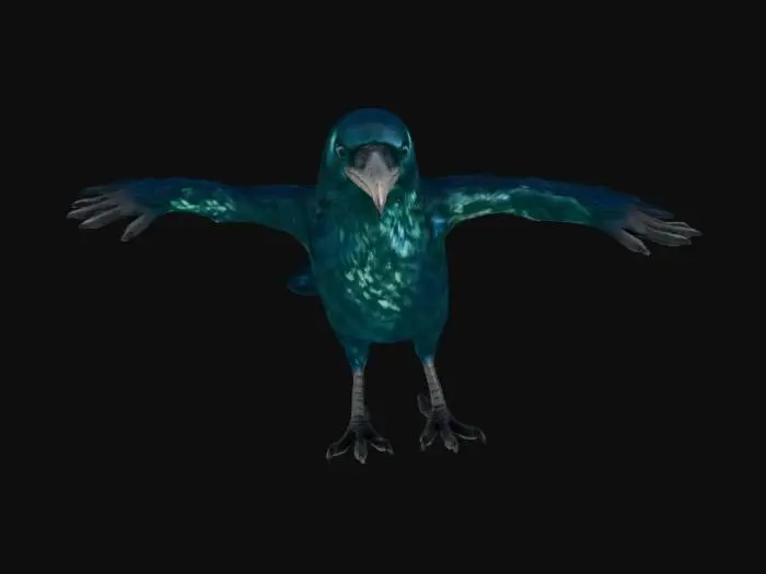 3D model for A highly detailed 3D model of a crow NPC Full-Body Base, showcasing lustrous, iridescent black feathers with a subtle blue-green sheen, perfect for high-definition rendering. Its intelligent, obsidian-like eyes are sharply defined. The dark, hard beak exhibits finely sculpted texture, slightly worn at the tip. Scaled legs and sharp talons grip firmly, revealing intricate, rough skin details. The overall form is agile and poised, with each individual feather clearly delineated.