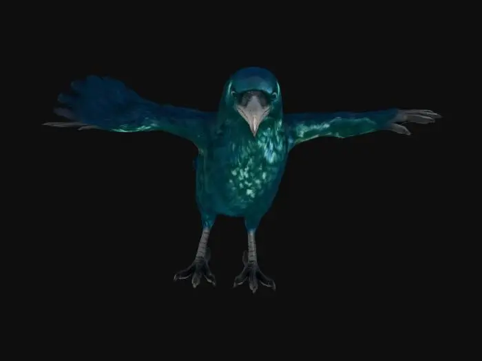 3D model for A highly detailed 3D model of a crow NPC Full-Body Base, showcasing lustrous, iridescent black feathers with a subtle blue-green sheen, perfect for high-definition rendering. Its intelligent, obsidian-like eyes are sharply defined. The dark, hard beak exhibits finely sculpted texture, slightly worn at the tip. Scaled legs and sharp talons grip firmly, revealing intricate, rough skin details. The overall form is agile and poised, with each individual feather clearly delineated.