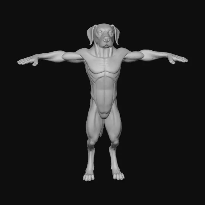 3D model for perfect example of sherppard dog 3D model in animal  standing position