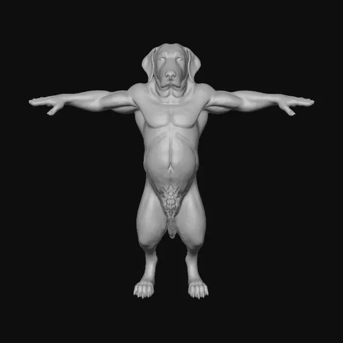 3D model for perfect example of sherppard dog 3D model in animal position