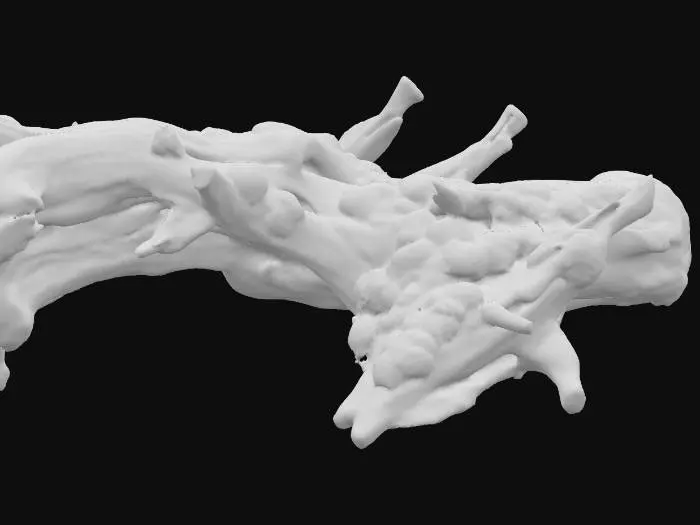 3D model for High quality, little moss, driftwood, 1 object, various shapes, webtoon style, low contrast