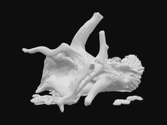 3D model for Highly detailed, some algae, a piece of driftwood, one object, various textures, minimalist webtoon style, high saturation.